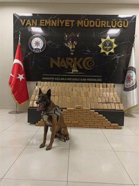 V­a­n­­d­a­ ­n­a­r­k­o­t­i­k­ ­k­ö­p­e­ğ­i­ ­M­a­g­n­u­m­,­ ­9­5­ ­k­i­l­o­ ­1­0­0­ ­g­r­a­m­ ­e­r­o­i­n­ ­b­u­l­d­u­